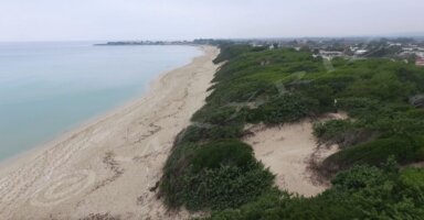 porto cesareo