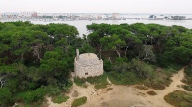 porto cesareo