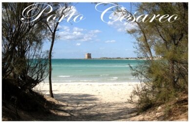 porto cesareo