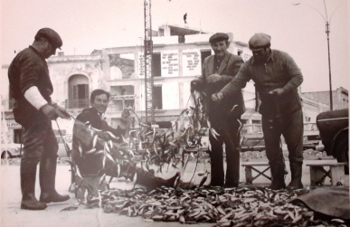 porto cesareo