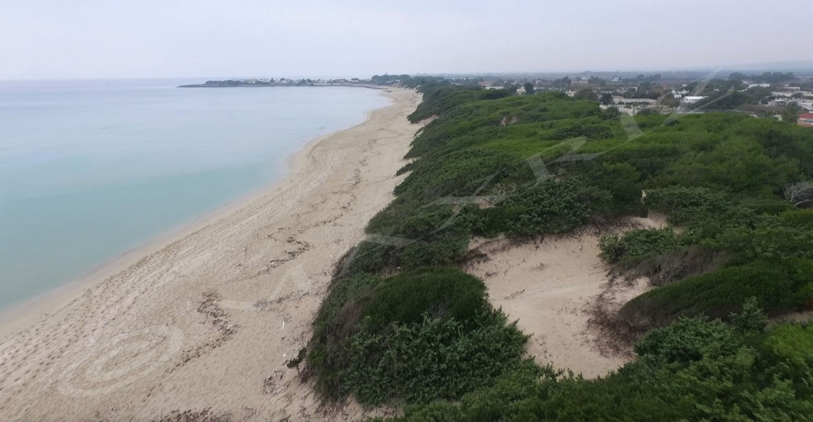 Il Parco Naturale Regionale di Palude del Conte e Duna Costiera