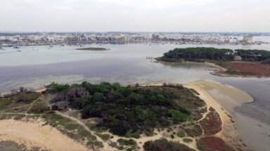 porto cesareo