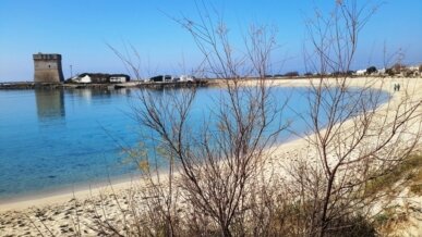 porto cesareo