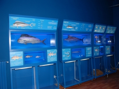 porto cesareo